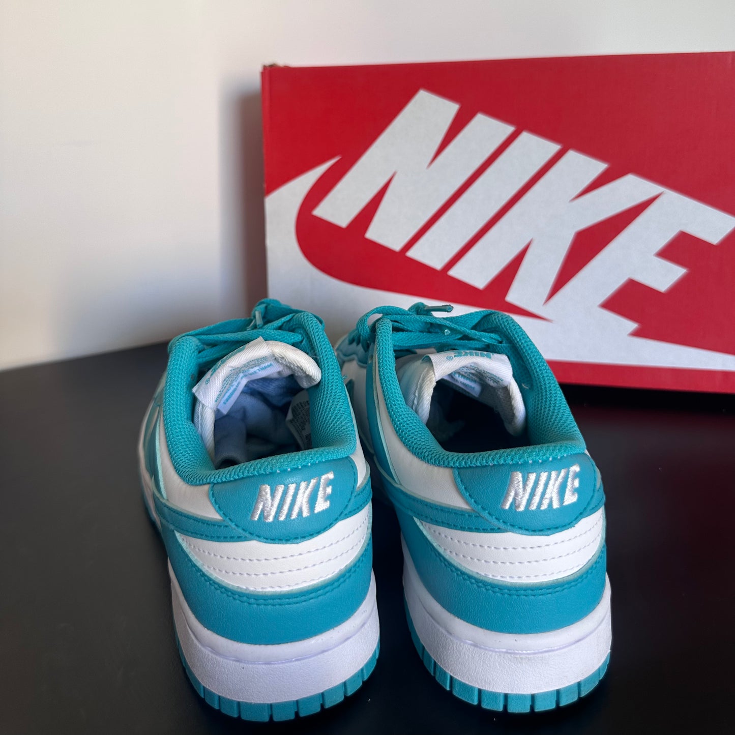 Nike Dunk Low - Dusty Cactus (Taille 39)